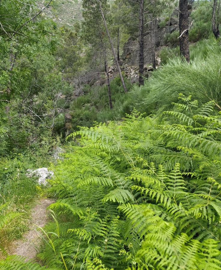 Cortes do Meio Abrigo Do Cabecinho - Serra Da Estrela מראה חיצוני תמונה